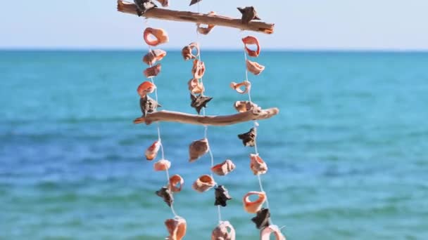 Mavi Deniz Tarafından Rüzgarda Sallanan Deniz Kabukları Doğanın Yumuşak Melodisini — Stok video