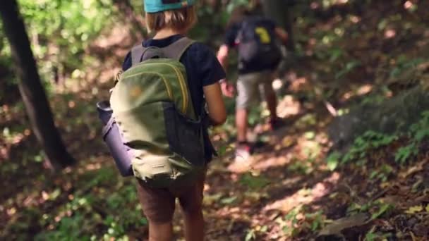 两个背着背包的男孩沿着山中的夏日森林小径徒步旅行 发现大自然和友谊的神奇之处 — 图库视频影像
