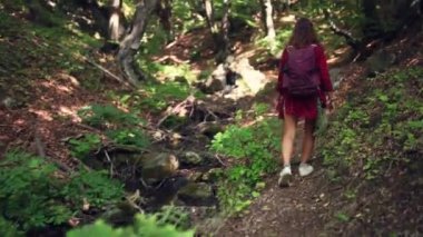 Sırt çantalı genç bir kadın dağlık bir orman yolunda yürüyor, doğanın tadını çıkarıyor ve uçsuz bucaksız doğayı keşfediyor..