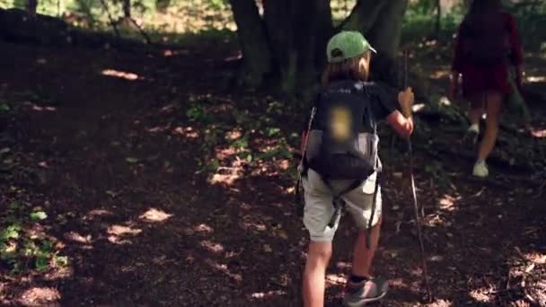 Девятилетний Мальчик Рюкзаком Прогуливается Горной Лесной Тропе Полной Волнения Готовый — стоковое видео