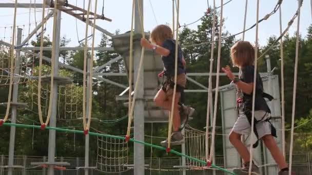 Two Brothers Boldly Navigate Obstacles Rope Park Strengthening Bond Spirit — Stock Video