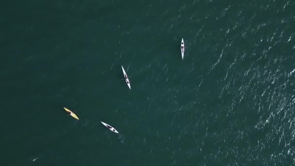 Aerial View Group Sea Kayakers Traveling Blue Sea Exploring New — Stock Video