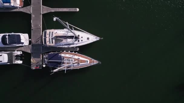 Légi Felvétel Egy Jacht Kikötő Tenger Mellett Díszített Elegáns Jachtok — Stock videók