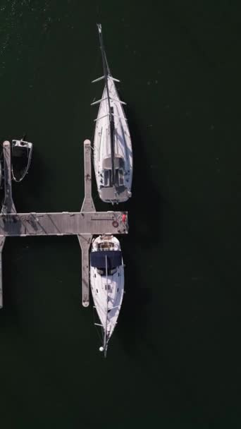 Вид Зверху Яхту Біля Моря Прикрашений Елегантними Яхтами Створюючи Мальовничу — стокове відео
