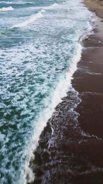 从一架无人驾驶飞机上俯瞰荒芜的沙滩海岸 — 图库视频影像