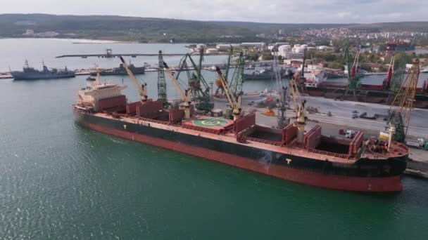 大量の貨物船 バルクキャリアが小麦の穀物で積まれている賑やかな海港の空中最高の眺め — ストック動画