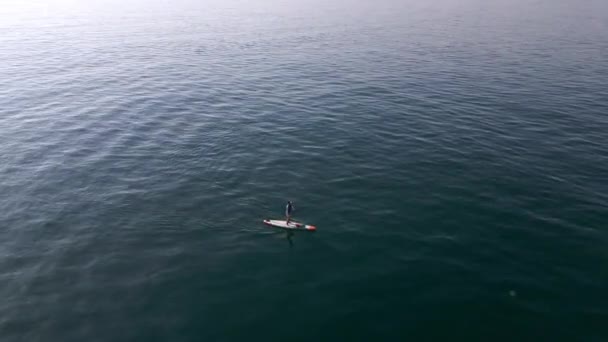Vista Aérea Homem Remando Paddleboard Stand Placa Sup Mar Calmo — Vídeo de Stock