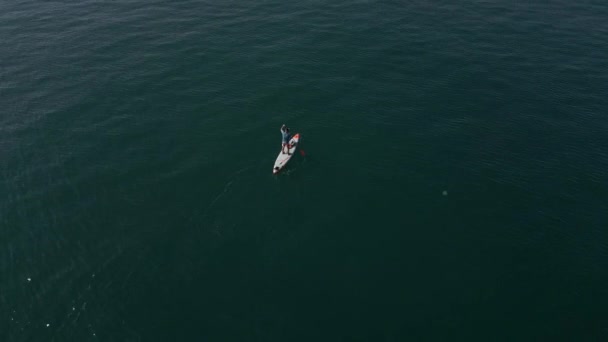静かな海でスタンドアップパドルボードやSupボードをパドリングする男性の空中ビュー — ストック動画