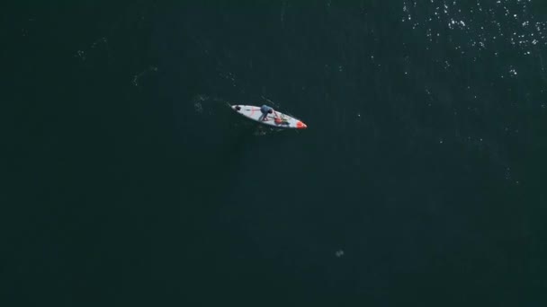 Вид Воздуха Человека Который Весит Весло Доску Sup Спокойном Море — стоковое видео