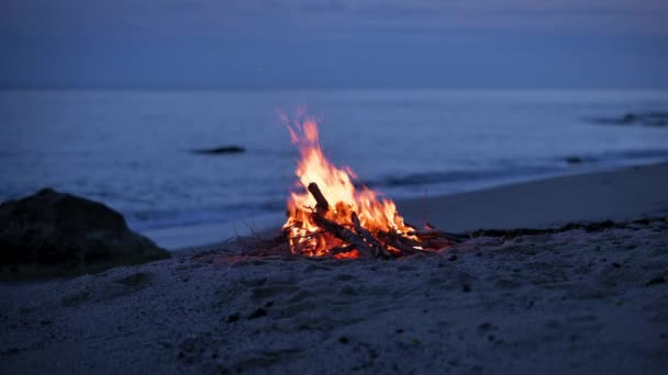 キャンプファイヤーは夕方に海岸で砂浜で燃えています — ストック動画