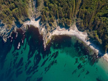 Bulgaristan 'daki Karadeniz' in kayalık, vahşi kıyılarının uçurumları, plajları ve yeşil ormanlarıyla hava manzarası.
