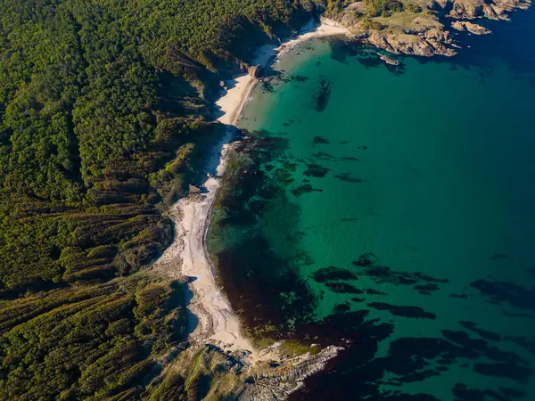 Aerial view of the rocky, wild coast of the Black Sea in Bulgaria, with cliffs, beaches, and green forests.