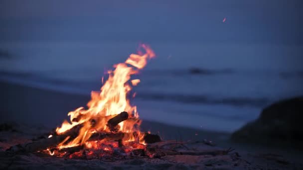 저녁에 해변에서 버려진 모래사장에서 캠프파이어가 불타고 — 비디오
