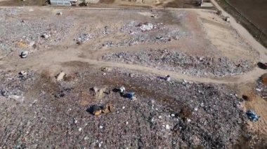 Buldozerlerin çalıştığı ve kamyonların yeni atıklar getirdiği uçsuz bucaksız bir arazi manzarası. Büyük kuş sürüleri olay yerinin üzerinde uçuyor..