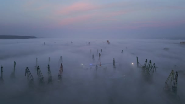 在晨雾中凸现的港口起重机的空中视图 — 图库视频影像