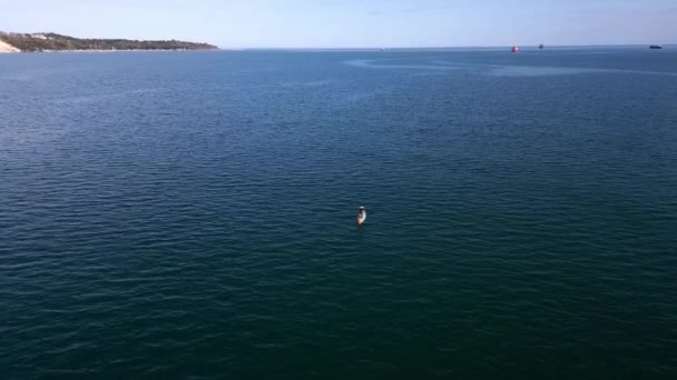 Een Man Een Peddelbord Open Oceaan Signaleert Nood Met Een — Stockvideo