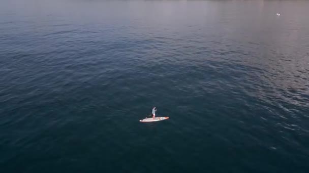 静かな海でスタンドアップパドルボードやSupボードをパドリングする男の空気からの眺め — ストック動画