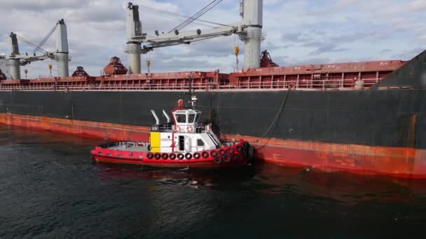 Sebuah Kapal Tunda Menjaga Sebuah Kapal Kargo Fairway Saat Keluar — Stok Video