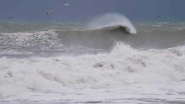 Бушующие Огромные Волны Время Невероятно Сильного Шторма Черном Море — стоковое видео