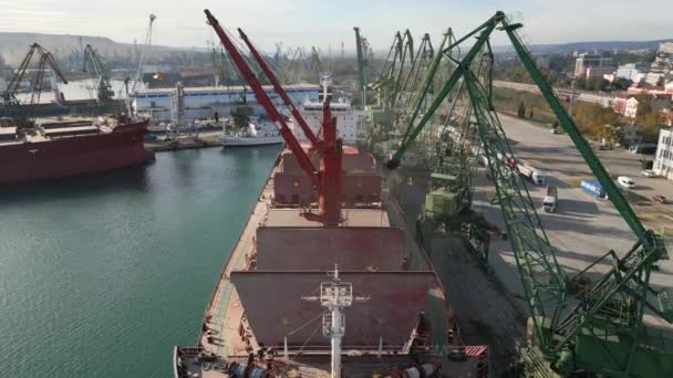 Aerial View Big Cargo Ship Bulk Carrier Loaded Grain Wheat — Stockvideo