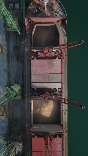Aerial View Big Cargo Ship Bulk Carrier Loaded Grain Wheat — Stok video
