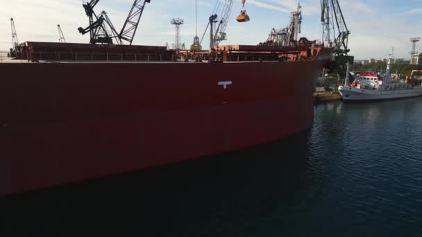 Aerial View Big Cargo Ship Bulk Carrier Loaded Grain Wheat — Wideo stockowe