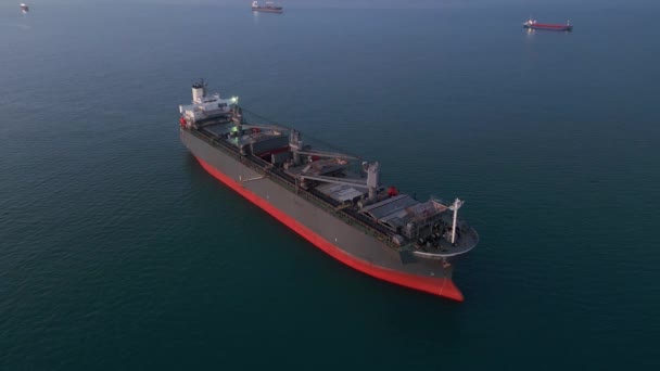 Denizde Büyük Bir Kargo Gemisi Ahşap Parçaları Taşıyıcısı Hava Manzaralı — Stok video