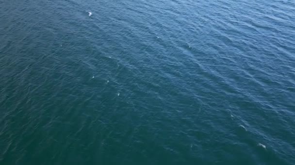 Tiro Aéreo Capturando Superfície Tranquila Imaculada Mar Sob Luz Suave — Vídeo de Stock
