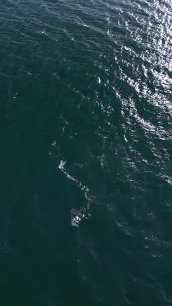 Overhead Shot Het Vastleggen Van Rustige Onbevlekte Oppervlak Van Zee — Stockvideo
