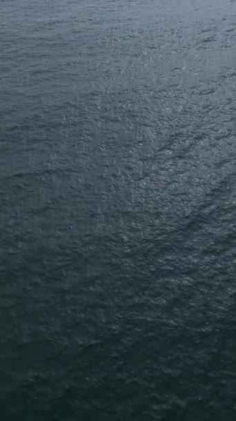 在黎明的微光下平静的海水 — 图库视频影像
