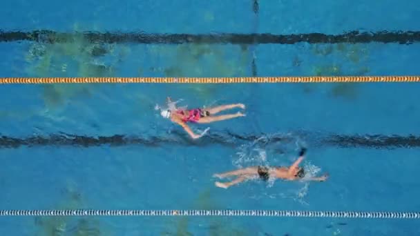 Skupina Lidí Užívá Koupání Bazénu Slunečného Dne — Stock video