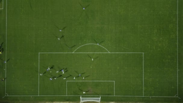 Δείτε Γήπεδο Ποδοσφαίρου Από Ψηλά Όπως Παίκτες Κινούνται Και Περάσει — Αρχείο Βίντεο