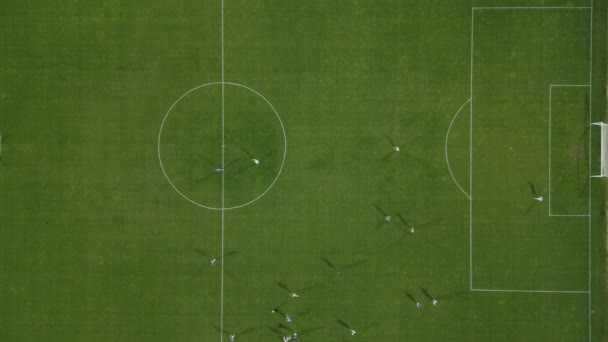 Kijk Als Spelers Concurreren Een Voetbalveld Vanuit Een Vogelperspectief — Stockvideo