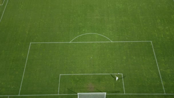ピッチのレイアウトとマーキングを示すゴールでサッカー場の空中ビューを見る — ストック動画