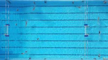 Güneşli bir günde havuzda yüzen bir grup birey..