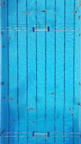 Eine Gruppe Von Personen Schwimmt Einem Sonnigen Tag Einem Pool — Stockvideo