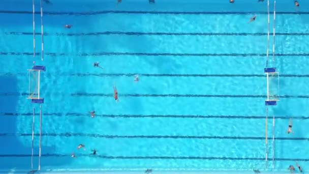 Μια Ομάδα Ατόμων Που Κολυμπούν Μια Πισίνα Μια Ηλιόλουστη Μέρα — Αρχείο Βίντεο