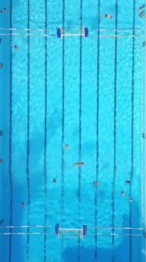 Güneşli bir günde havuzda yüzen bir grup birey..