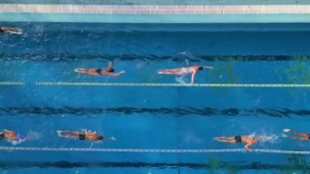 Een Groep Individuen Die Zwemmen Een Zwembad Een Zonnige Dag — Stockvideo