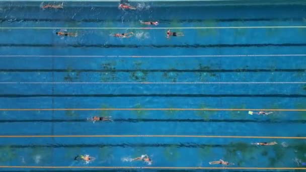 Μια Ομάδα Ατόμων Που Κολυμπούν Μια Πισίνα Μια Ηλιόλουστη Μέρα — Αρχείο Βίντεο