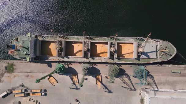 Aerial View Big Cargo Ship Bulk Carrier Loaded Grain Wheat — ストック動画