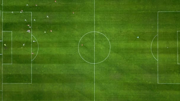 アクション中のサッカーフィールドの空中ビュー プレイヤーが実行 ゴールを獲得 — ストック動画