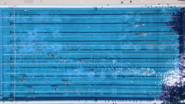 Bir grup yüzücü açık havuzda eğitiliyorlar..