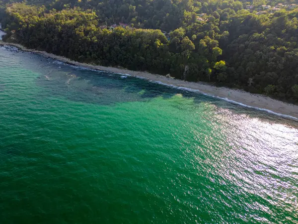 stock image Aerial view of a lush coastline with a pristine beach and emerald-green waters. The sun reflects off the ocean, highlighting the natural beauty of the serene and untouched seashore.