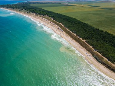 Sahil boyunca dağınık çadırları ve şemsiyeleri olan kumlu bir sahil manzarası. Dalgalar yavaşça kıyıya vurur, okyanus kıyısında huzurlu ve rahatlatıcı bir yaz gününü yakalar..