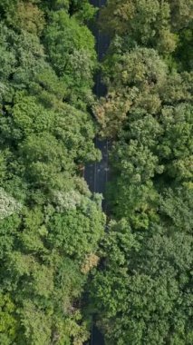 Yeşillik yeşil ormanda virajlı bir yolda giden bir arabanın hava aracı videosu. Genel bakış açısı, insan yapımı yol ile doğal çevre arasındaki zıtlığı vurgular..