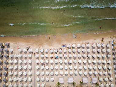Kalabalık bir plajın, okyanusun nazik dalgalarına karşı dizilmiş şemsiyeli ve güneşli videoları. Hava görüntüsü, bir yaz gününün canlı atmosferini yakalar. Bulgaristan.