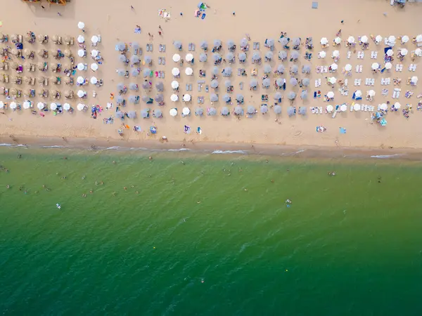 Stock image Drone video capturing a top-down view of a beach with rows of colorful umbrellas lined up perfectly on the sand next to the shoreline. The vibrant scene showcases summer relaxation.