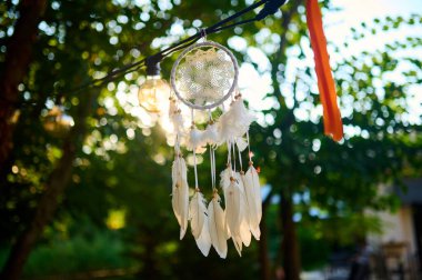 Narin bir düş kapanı, huzur dolu bir bahçedeki ağaçların arasından süzülen yumuşak güneş ışığıyla aydınlanan bir daldan nazikçe sarkıyor..