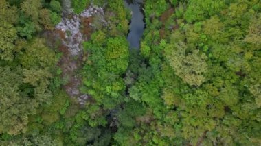 Bulgaristan 'ın Strandzha Ulusal Parkı' ndaki kayalık uçurumlar ve gizli bir nehirle yoğun yeşil bir ormanın üzerinde uçan büyüleyici bir hava aracı görüntüsü doğanın dokunulmamış güzelliğini yakalıyor..
